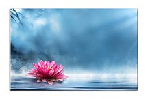 Obraz Lotosový kvet zs24894